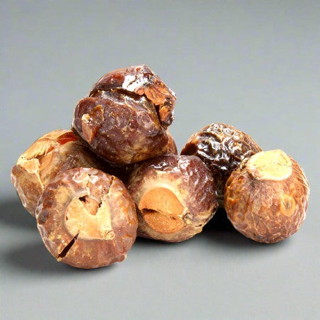 Soap Nut | Boondhi Kottai | Boondhikkai