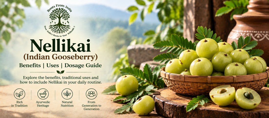 Nellikai (Indian Gooseberry): Benefits, Uses & How to Take It