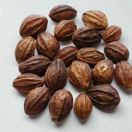 Kadukkai | Inknut | Haritaki | Harad