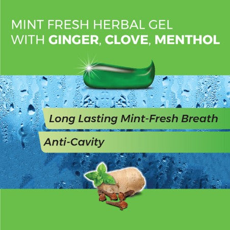 Mint Fresh Herbal Gel Toothpaste with Ginger, Clove & Mint - K P Namboodiris