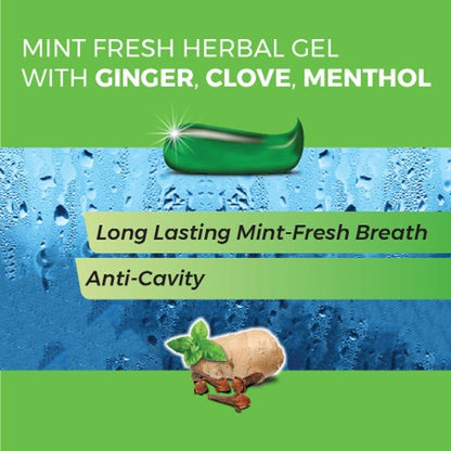 Mint Fresh Herbal Gel Toothpaste with Ginger, Clove & Mint - K P Namboodiris