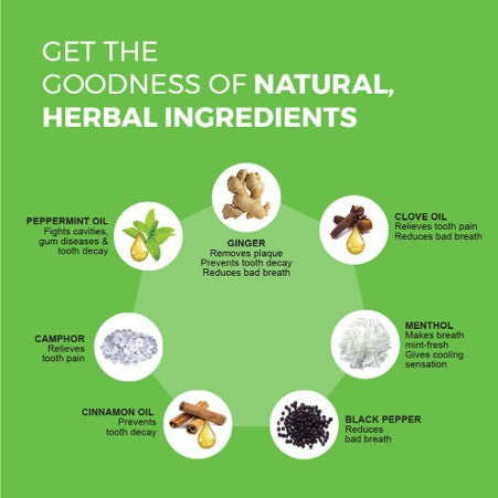 Mint Fresh Herbal Gel Toothpaste with Ginger, Clove & Mint - K P Namboodiris
